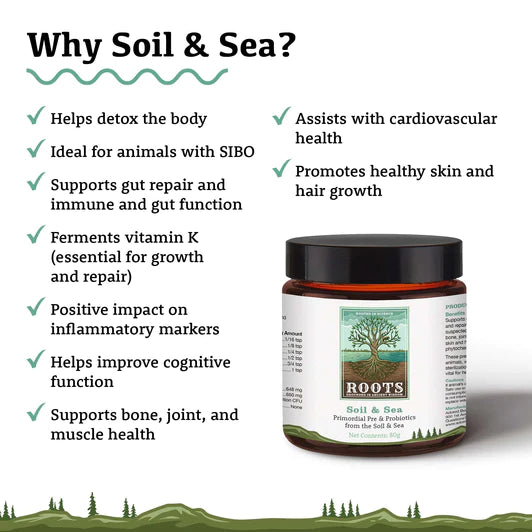 Adored Beast Roots - Soil & Sea Primordial Pre & Probiotics - 40g