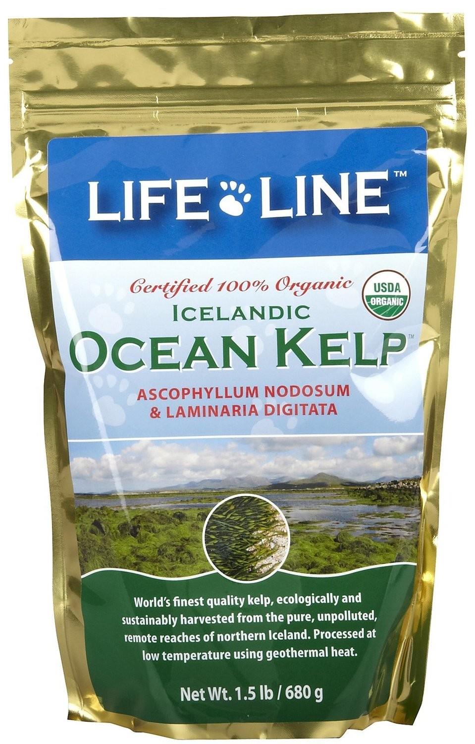 Lifeline - Organic Kelp Powder - 1.5lbs