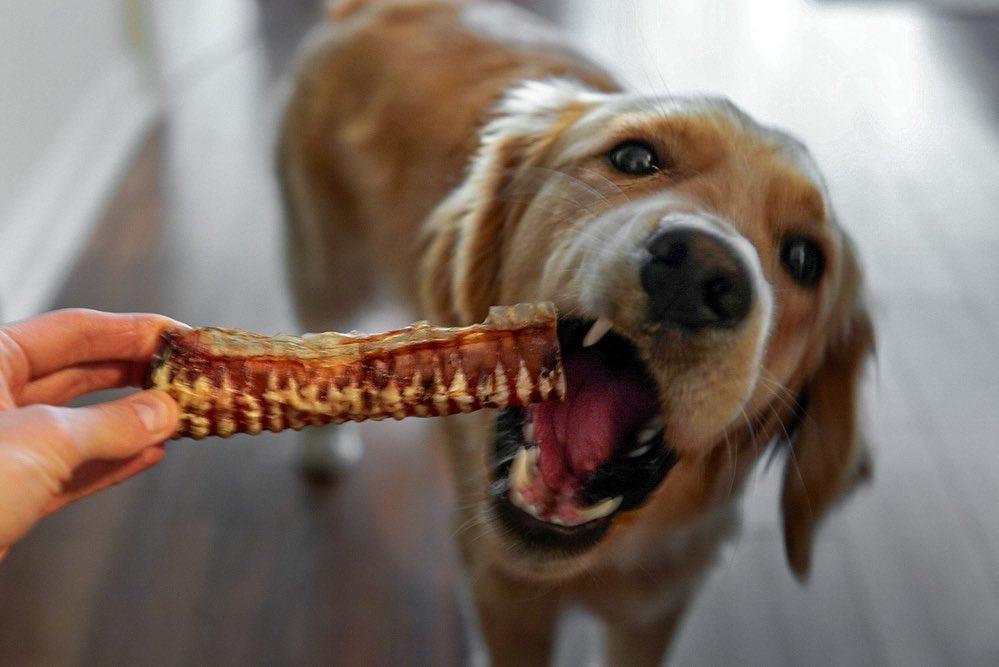 Only One Treats - Beef Trachea - 6