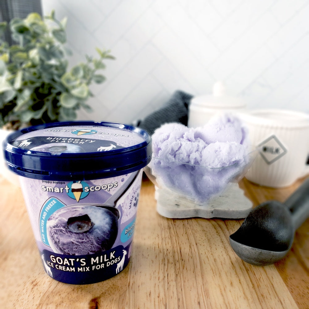 Smart Scoop - Blueberry Goat Milk Ice Cream Mix