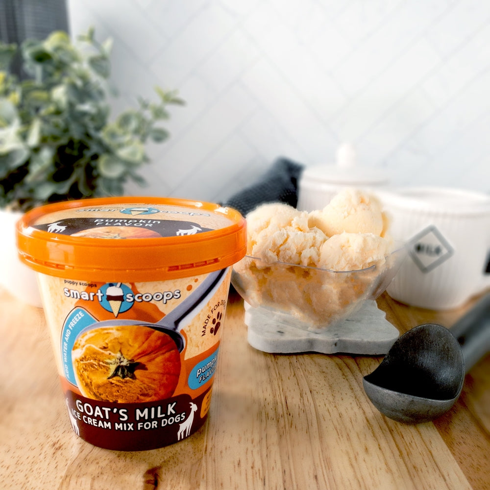 Smart Scoop - Pumpkin Goat Milk Ice Cream Mix