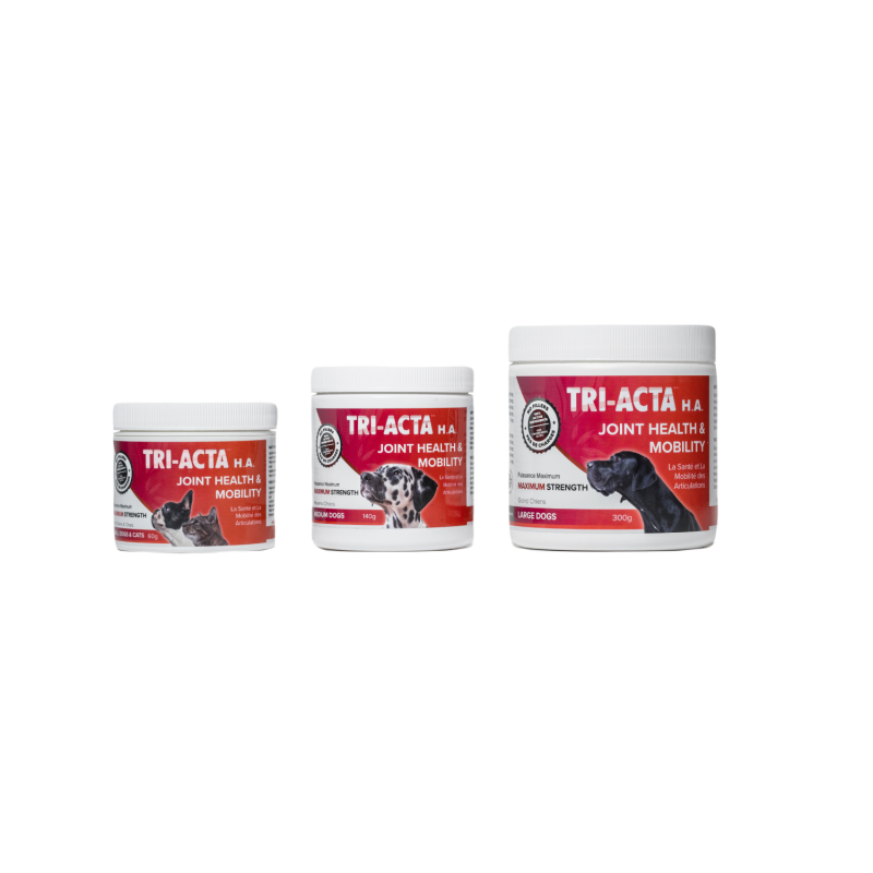 Tri-Acta H.A - Joint Health & Mobility - Max Strength - 140g